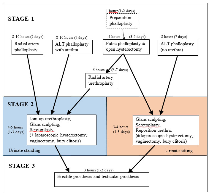 Operative Staging of Phalloplasty